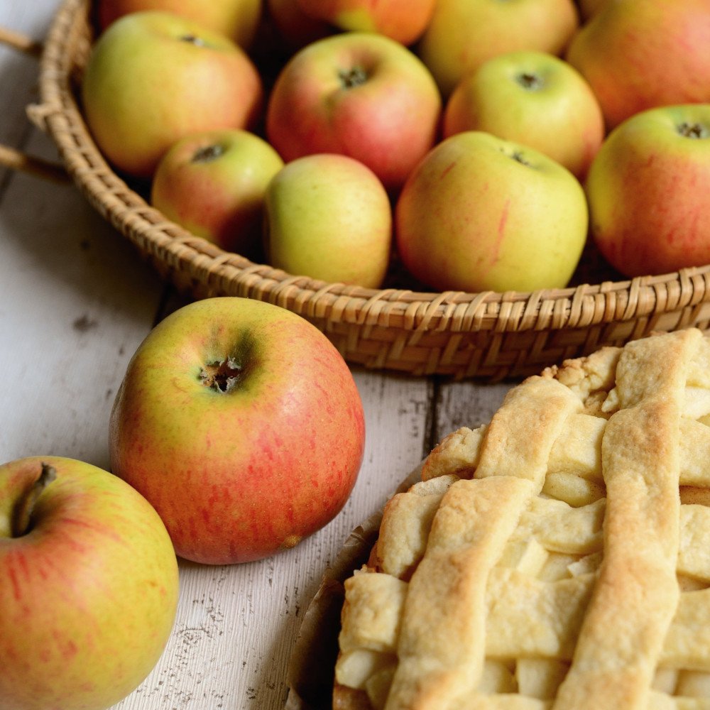 Apfelkuchen (c) Pixabay.com/congerdesign