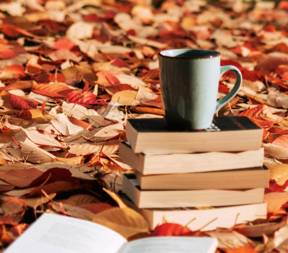 Bücherei St. Konrad - Herbstferien (c) Pexels.com/lil artsy
