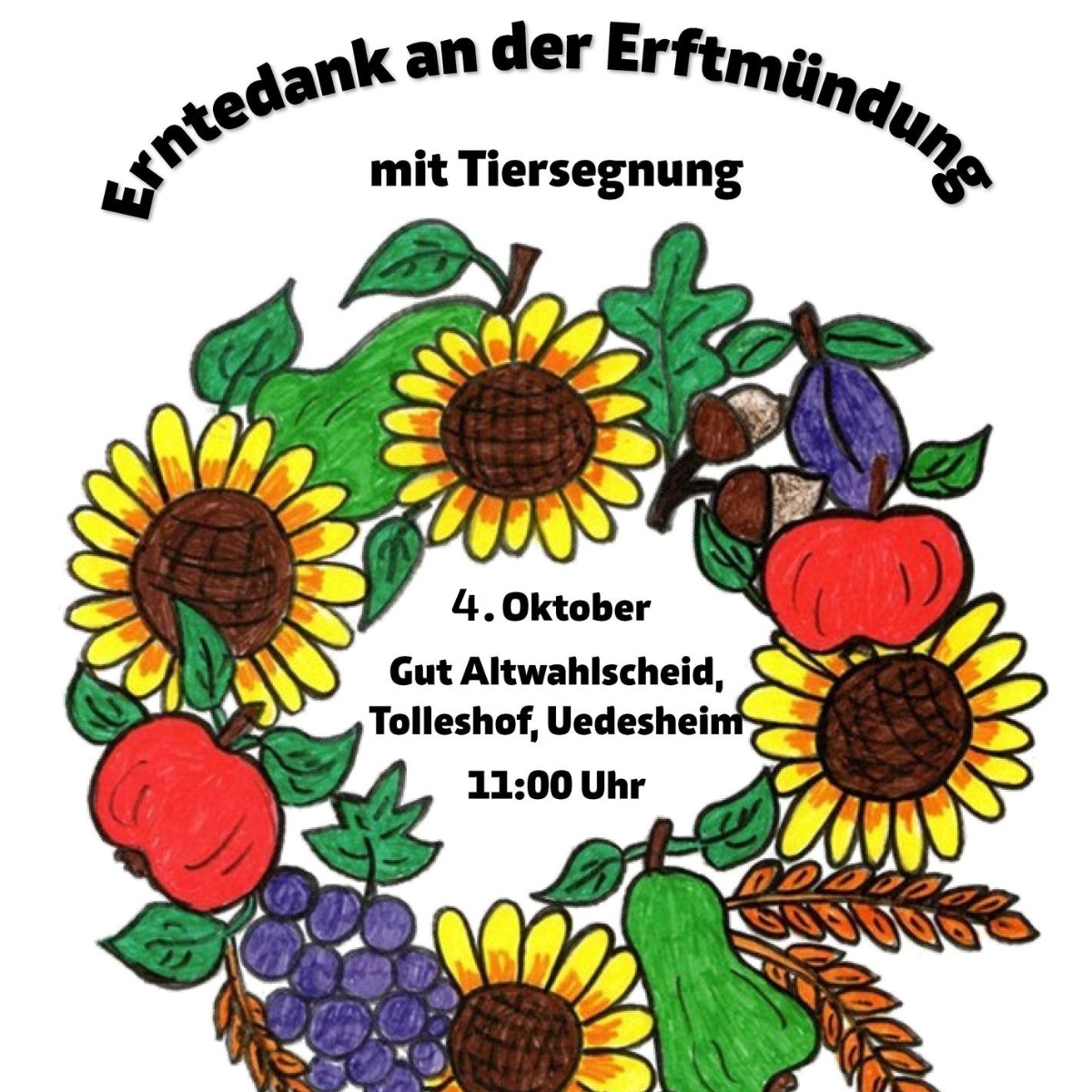 Erntedankfest an der Erftmündung am 04.10.2026 (Quadrat) (c) Bild: M. Bönsch