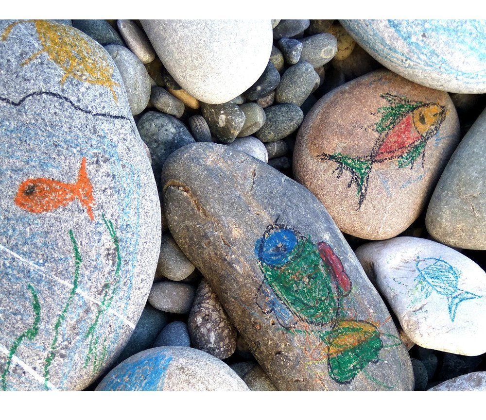 Fische (Rand) (c) Unsplash.com/Ekaterina Novitskaya