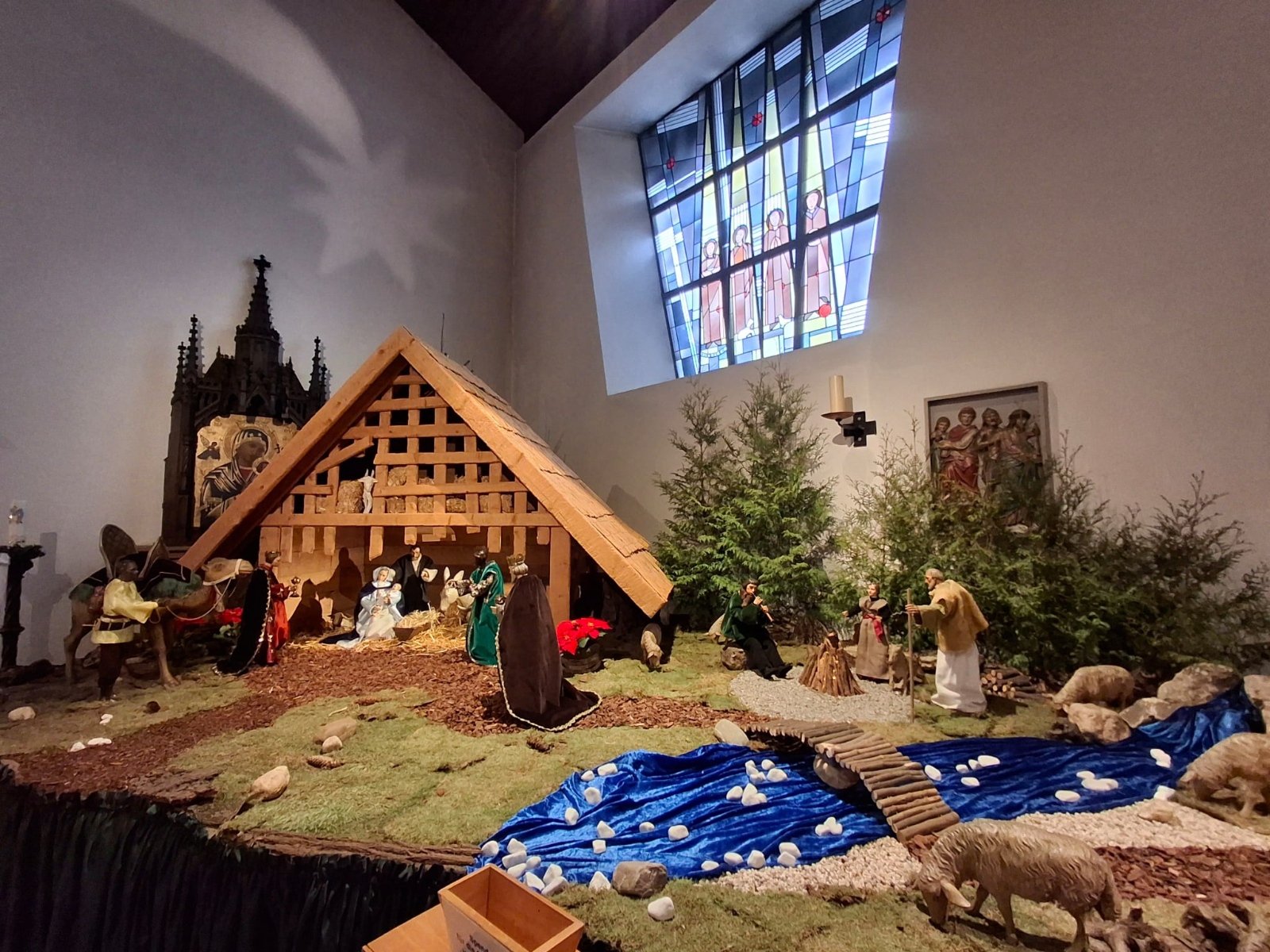 IMG-20260106-WA0002 (c) Michael Kleinheider